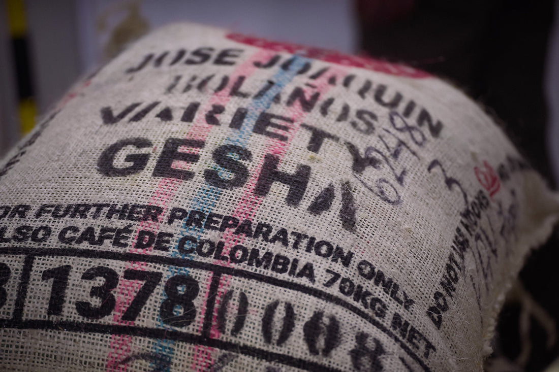 Exploring the Coffee Farms of Colombia: Field Notes from September 2023