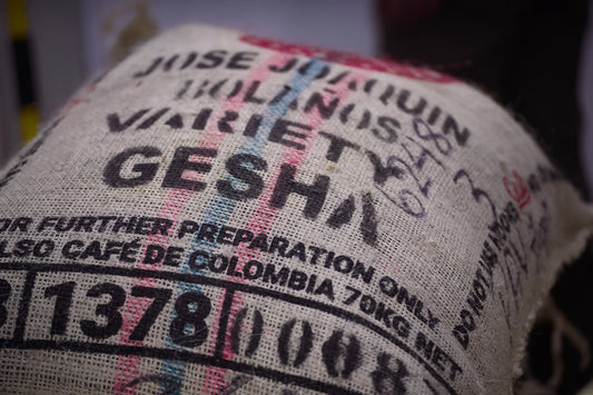 Exploring the Coffee Farms of Colombia: Field Notes from September 2023